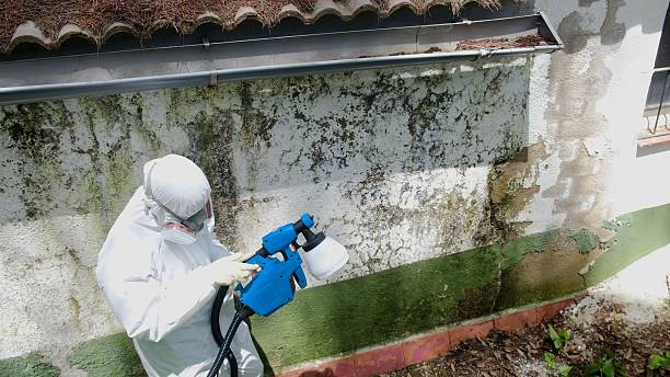 Trusted Bathroom Mold Removal service in Centreville, MI - Cheap Mold Removal